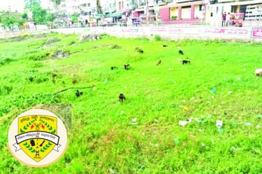 রানির দিঘিতে পানি নেই