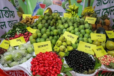 আজ থেকে শুরু হচ্ছে জাতীয় ফল মেলা