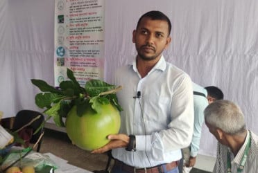 ১০ সের ওজনের বেল!