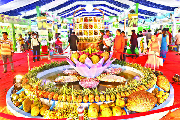 ফলের মেলায় ভিড়