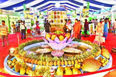 ফলের মেলায় ভিড়