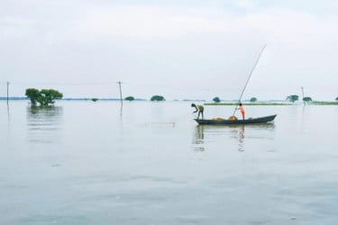 নেত্রকোনার হাওরাঞ্চলে প্রজনন মৌসুমে মাছ ধরা নিষিদ্ধ করার প্রক্রিয়া চলছে