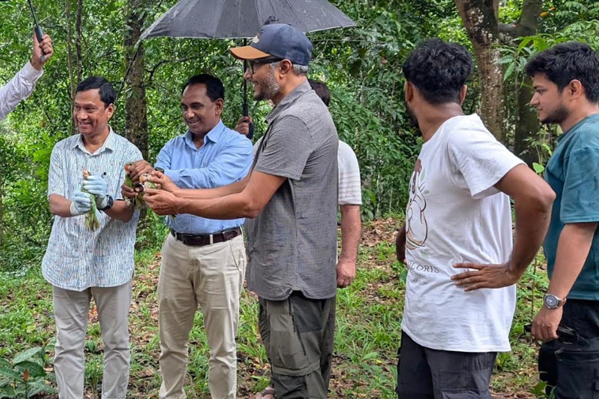 দেড় মাস পর প্রকৃতিতে ফিরল জোড়া টিয়া
