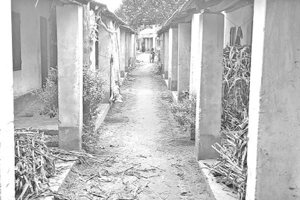 নেই পানি বিদ্যুৎ, আড্ডা বখাটেদের