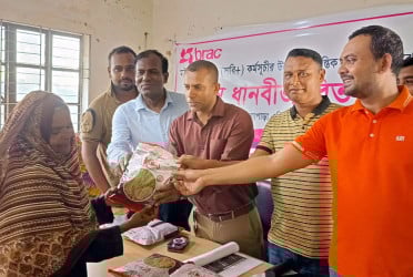 কলাপাড়ায় ধানের বীজ বিতরণ