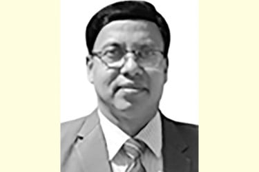 ফলমেলার সামাজিক প্রভাব
