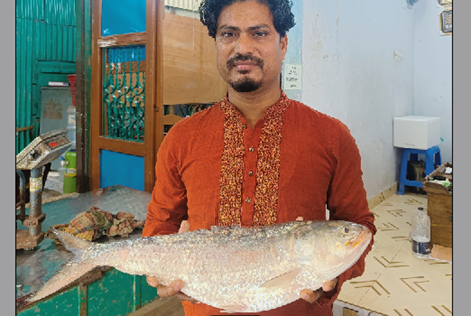 আড়াই কেজি ওজনের ইলিশ বিক্রি ১৩ হাজার টাকায়