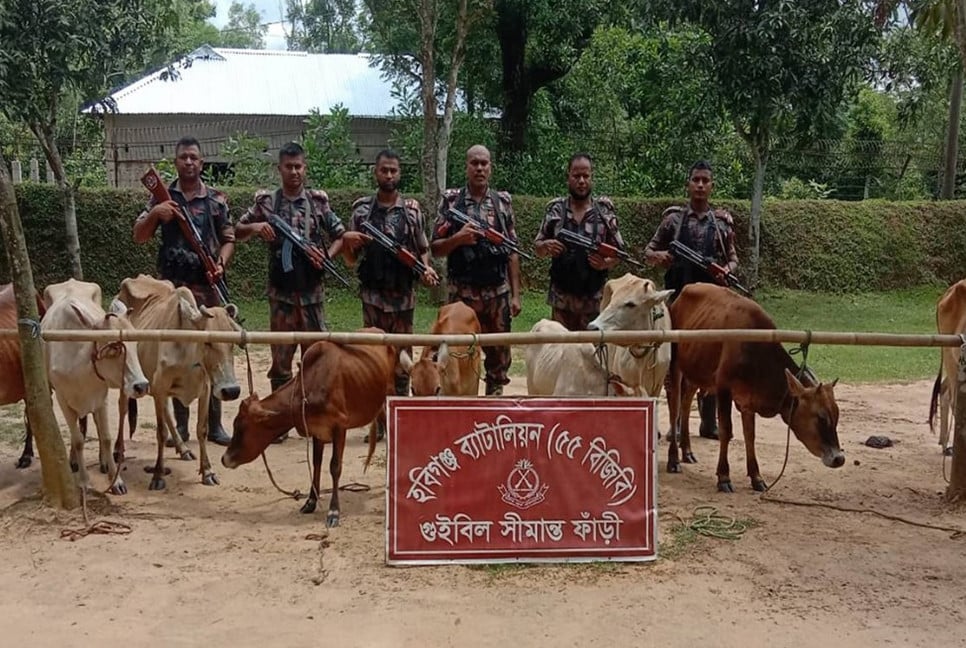 সীমান্তে পৌনে দুই কোটি টাকা মূল্যের চোরাচালান জব্দ