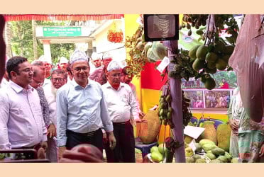 চুয়াডাঙ্গায় তিন দিনব্যাপী ফল মেলা শুরু