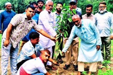 টাঙ্গাইলে বিভিন্ন শিক্ষাপ্রতিষ্ঠানে বৃক্ষরোপণ কর্মসূচি