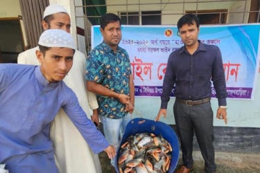 নাসিরনগরে পিরানহা মাছ জব্দ, আড়তদারকে জরিমানা