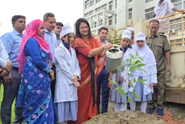 টাঙ্গাইলে সকল সরকারি প্রাথমিক বিদ্যালয়ে একযোগে বৃক্ষরোপণ