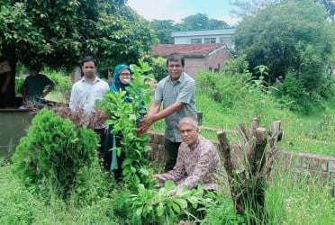 পায়রাবন্দে রোকেয়ার জন্মভিটায় বিরল তানপুরার চারা রোপণ