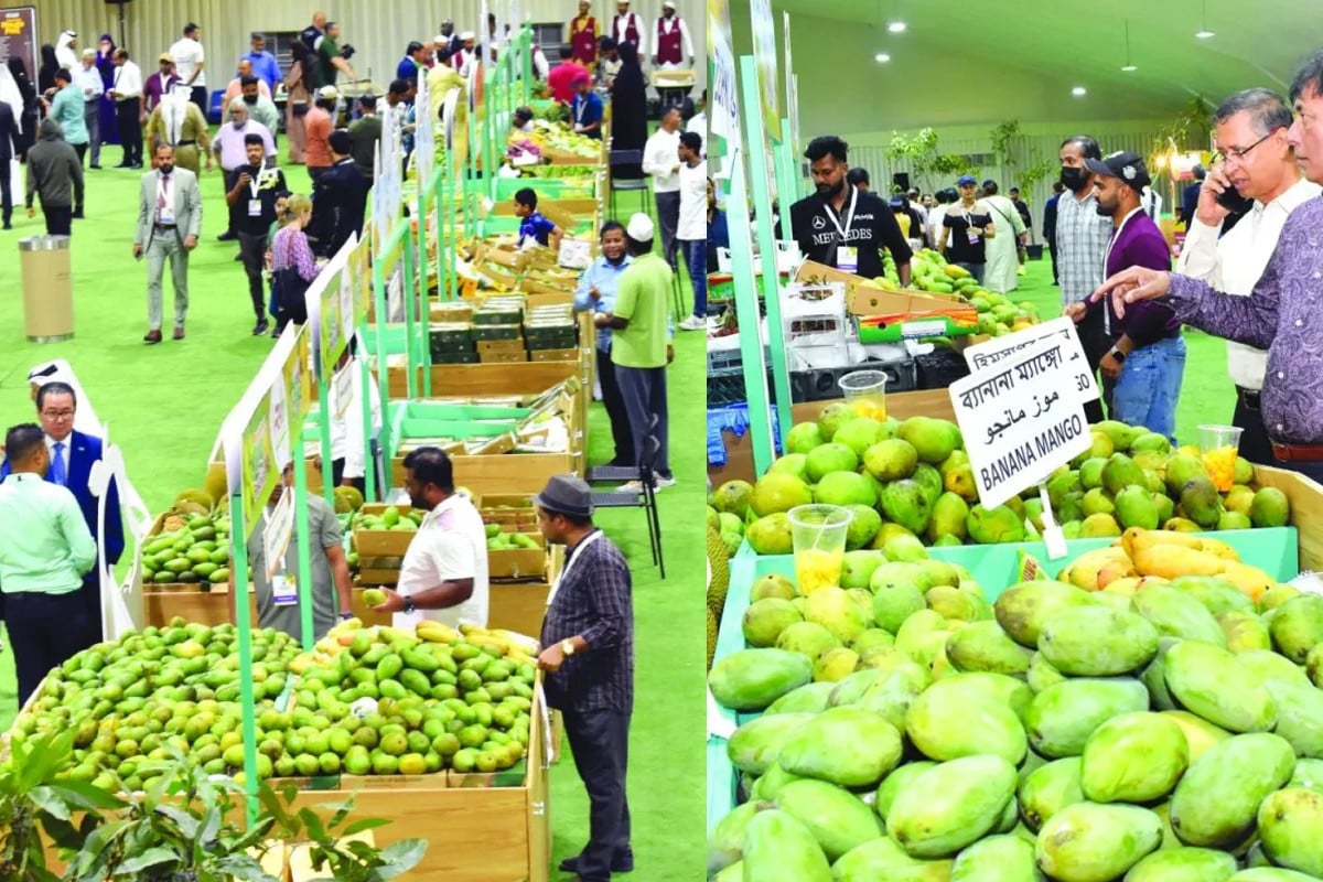 কাতারে শুরু প্রথম বাংলাদেশি আম উৎসব