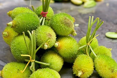 কাঁকরোল খেলে পাওয়া যাবে যেসব উপকার