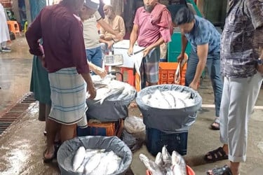 ইলিশের দাম নিয়ন্ত্রণে উদ্যোগ, ক্রেতা খুশি হলেও হতাশ আড়তদাররা
