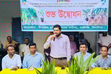 কালীগঞ্জে নারিকেল চারা বিতরণ কার্যক্রমের উদ্বোধন