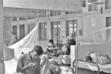 ডেঙ্গুর প্রকোপ, নেই মশক নিধন