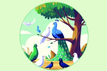 রঙিন পাখির রাজ্য