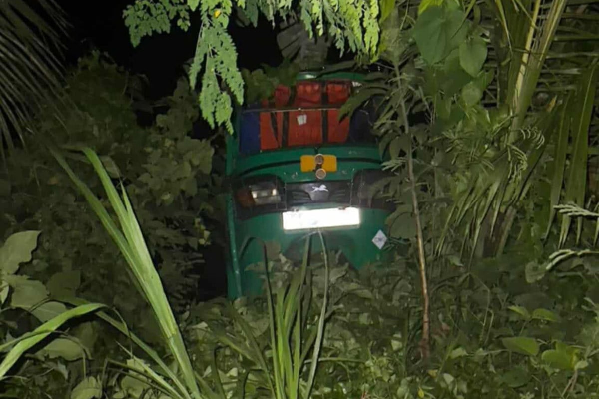 মহাসড়কে শিয়ালকে চাপা দিল সিএনজি, প্রাণ গেল গৃহবধূর