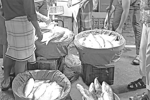 ইলিশের দাম নির্ধারণে চিঠি, খুশি ক্রেতারা