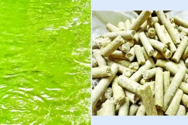 স্বল্পব্যয়ে পুষ্টিগুণসম্পন্ন মাছের খাদ্য