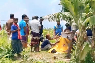 গুরুদাসপুরে বিদ্যুৎস্পৃষ্টে কৃষকের মৃত্যু
