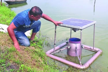 মাছের খামারে নিরাপত্তা দেবে ‘পন্ডগার্ড’