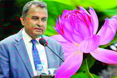 লুটের টাকায় নতুন ঠিকানায় কামাল