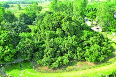 ৩০০ বছরের সূর্যপুরী