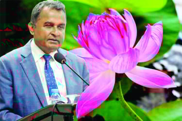 শেয়ারবাজার থেকে লুট ২০ হাজার কোটি টাকার সম্পদ