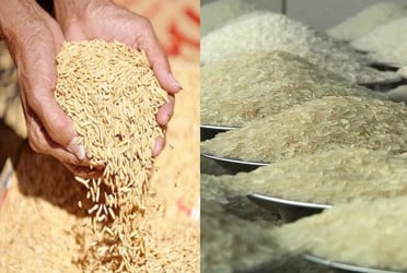 চট্টগ্রামে ধানচাল সংগ্রহে রেকর্ড