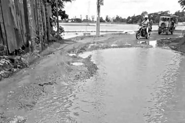 খানাখন্দে বেহাল সড়ক