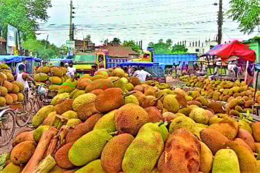 সখীপুরে সপ্তাহে বিক্রি অর্ধকোটি টাকার কাঁঠাল
