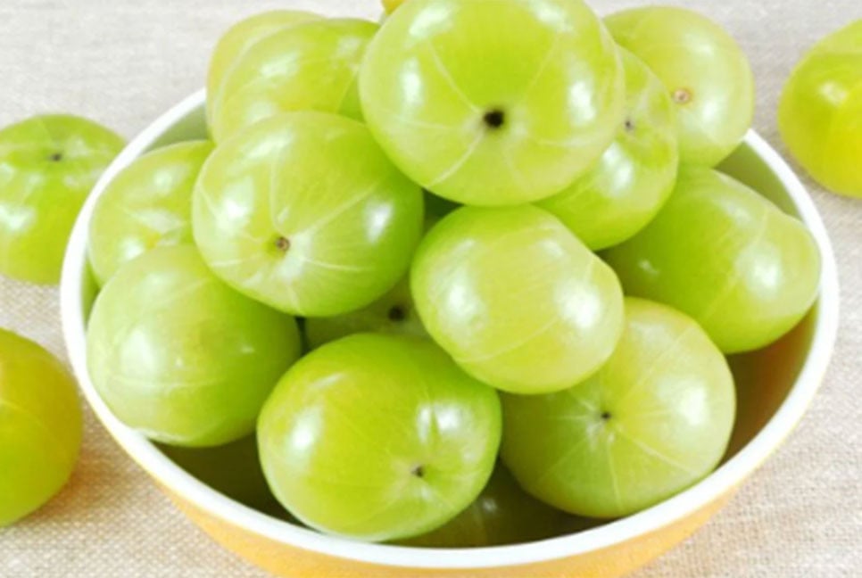 আমলকির স্বাস্থ্য উপকারিতা