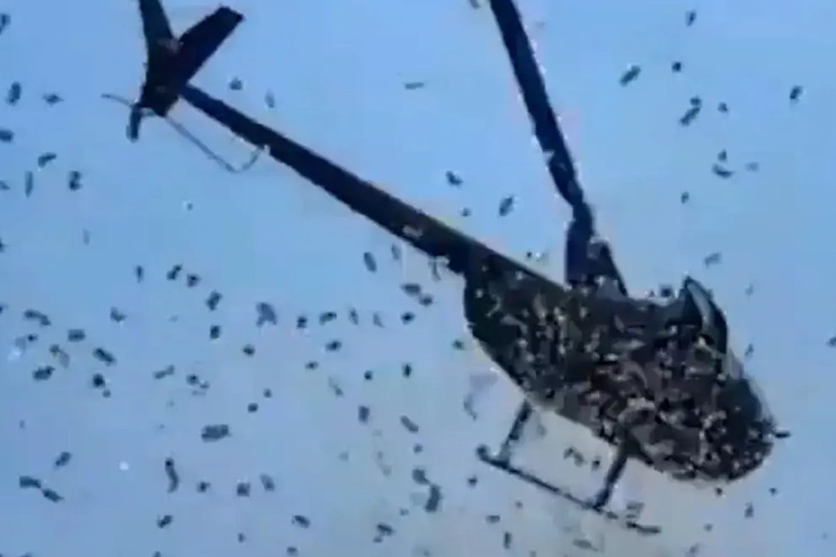বাবার শেষ ইচ্ছে পূরণে আকাশ থেকে ডলার ওড়ালেন দুই ছেলে