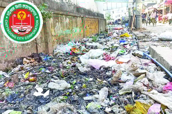 মশা নিধনে বরাদ্দ কম