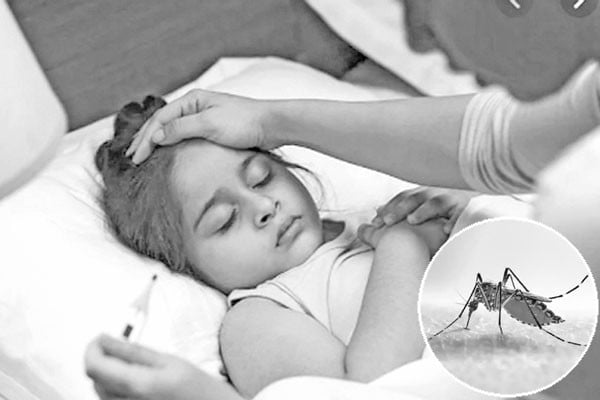করোনা ও ডেঙ্গু কি হতে পারে একসঙ্গে?