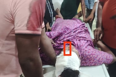 ঘরে ঢুকে আ. লীগ নেতার মাকে কুপিয়ে স্বর্ণালংকার লুট
