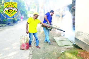 মশার কামড়ে অতিষ্ঠ নগরবাসী