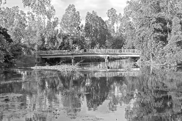সেতু এখন গলার কাঁটা