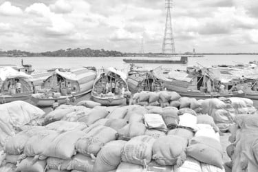 আশুগঞ্জ মোকামে কমতে শুরু করেছে ধানের দাম