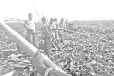যুগ যুগ ধরে দুর্ভোগে চরবাসী
