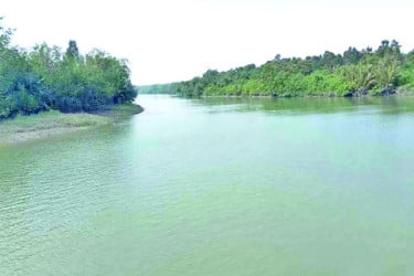 প্রাণ ফিরেছে সুন্দরবনে