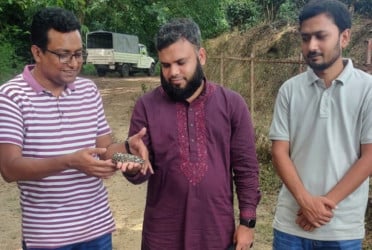 হাজারীখিল অভয়ারণ্যে ৩৩ অজগর অবমুক্ত