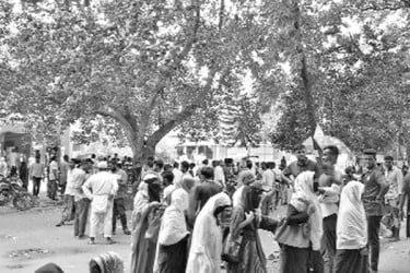 গাছের ছায়ায় শান্তির পরশ