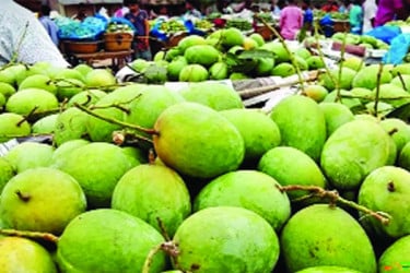 আমে ভরা বাজার তবু কমেনি দাম!