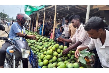 অনেকের পেশা বদলে
দিয়েছে হাঁড়িভাঙ্গা