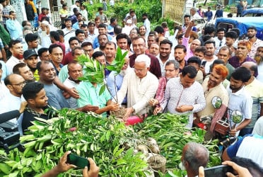 ঘোড়াঘাটে বৃক্ষরোপণ কর্মসূচির উদ্বোধন করেন জাহিদ হোসেন