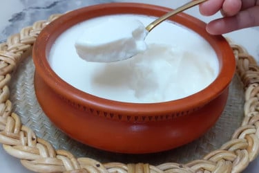ভেজাল টক দই যেভাবে চিনবেন